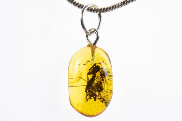 Polished Baltic Amber Pendant (Necklace) - Contains Fly! #322028
